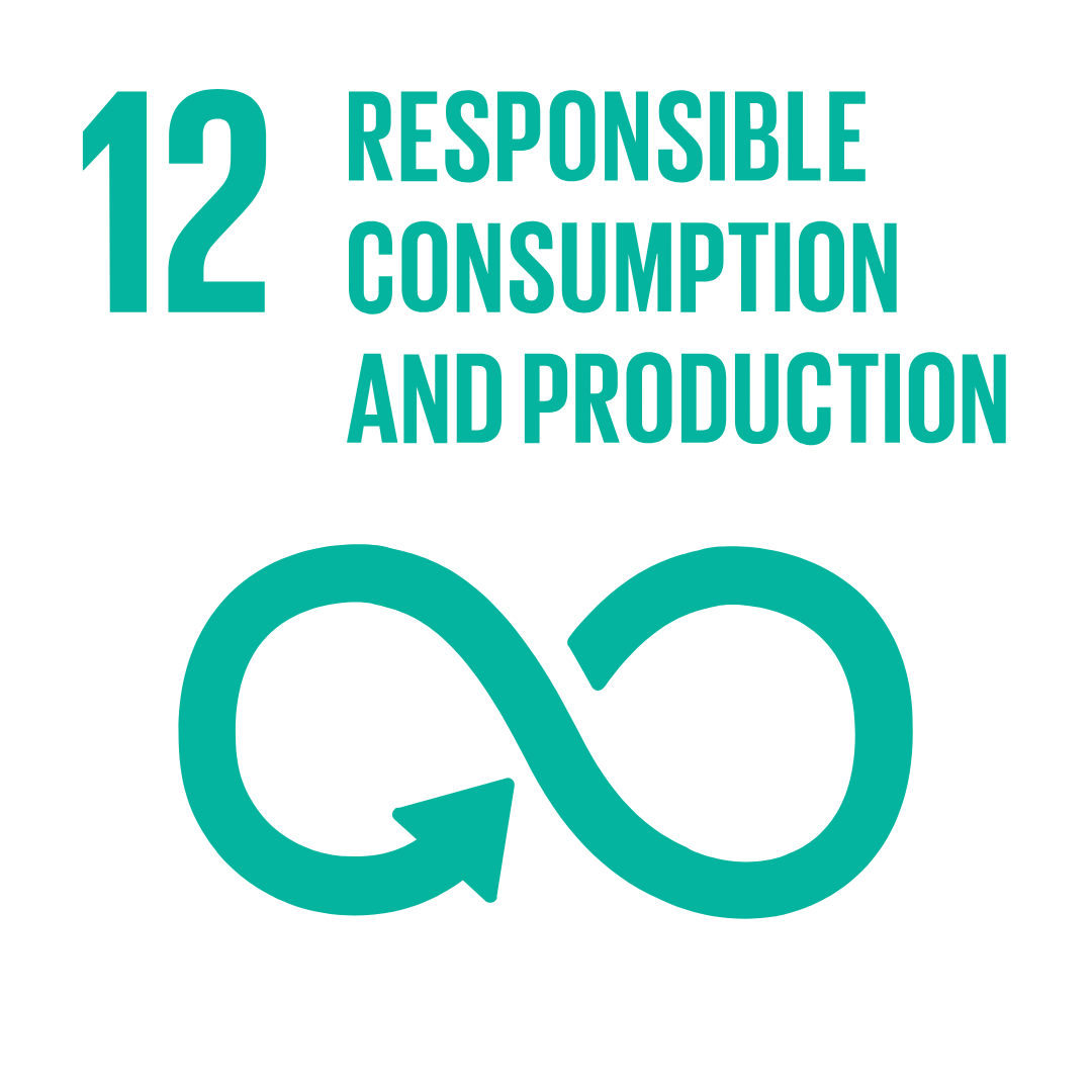 SDG 12