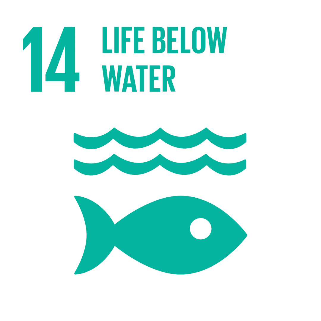 SDG 14