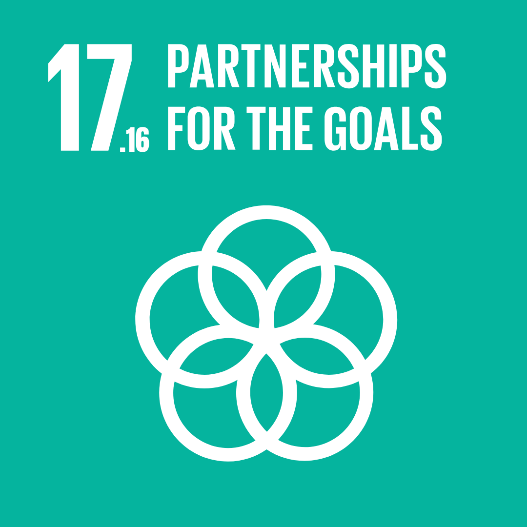 SDG 17