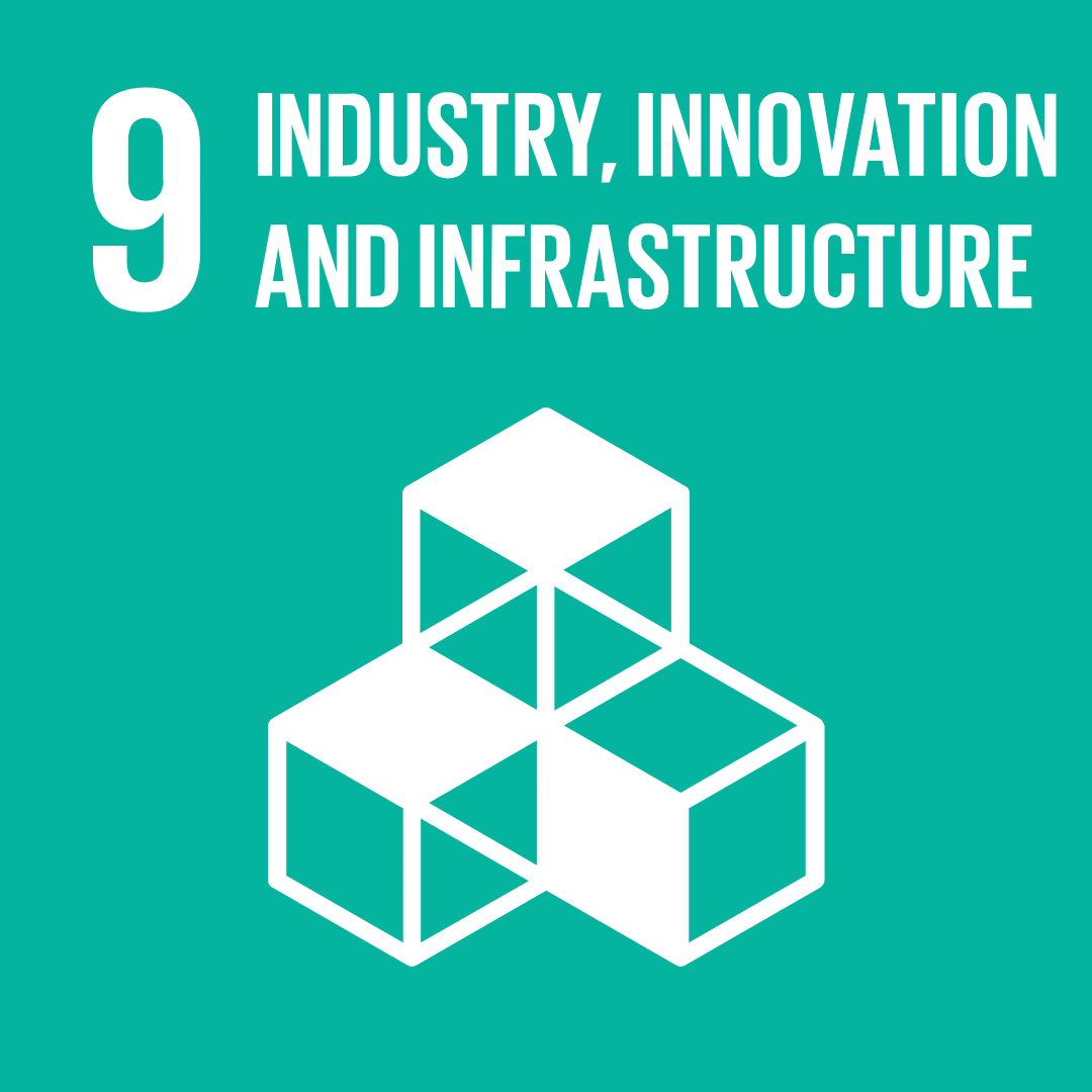 SDG 9